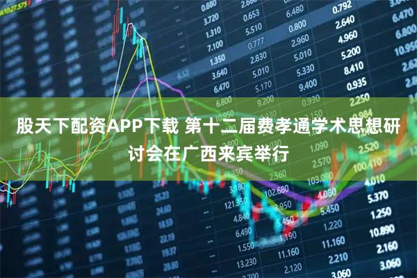 股天下配资APP下载 第十二届费孝通学术思想研讨会在广西来宾举行