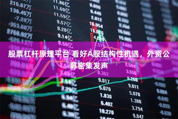 股票杠杆原理平台 看好A股结构性机遇，外资公募密集发声