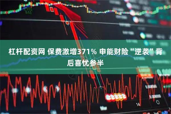 杠杆配资网 保费激增371% 申能财险“逆袭”背后喜忧参半